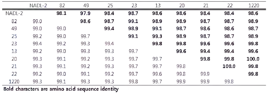 백신주(NADL-2)와 VP2유전자 염기서열 및 아미노산 서열의 유사성 비교(cadar et al., 2012 참고)