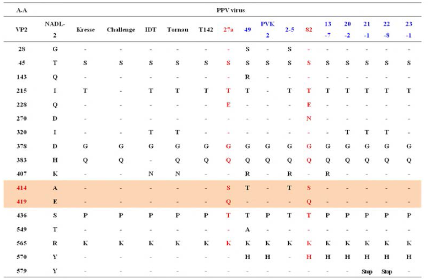 백신주(NADL-2)와 VP2유전자 염기서열 비교(cadar et al., 2012 참고)