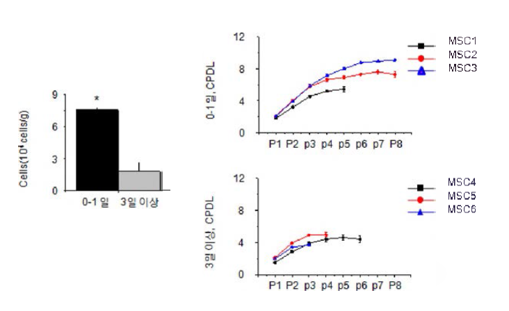 조직 수집 후 경과시간에 따른 성체줄기세포 성장 곡선