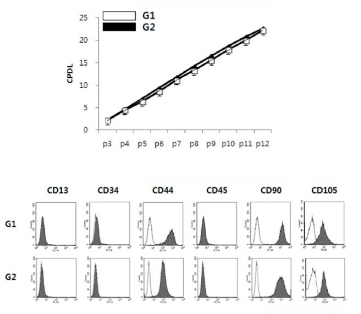 장기 저장 성체줄기세포의 증식능 및 세포 표면 특이마커 분석