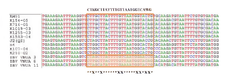 Sequence comparison of S target region of reverse primer used in previous RT-PCR
