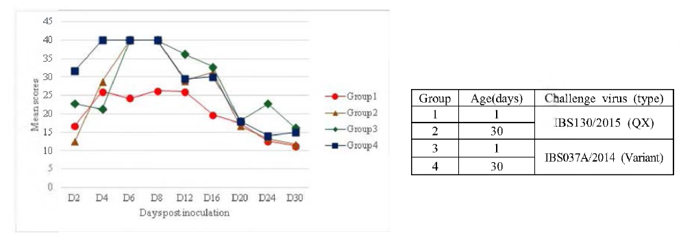 Mean ciliostasis scores for 1-day-old and 30-day-old SPF chickens infected with IBS130/2015 and IBS037A/2014 isolates