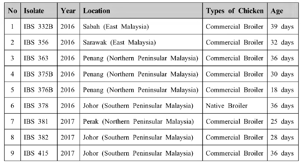 History of IBVs isolated in Malaysia during 2016/2017 period