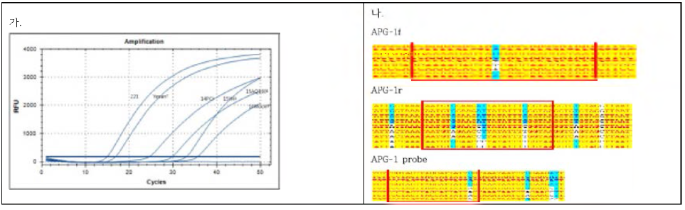 국내분리주에 대한 real-time PCR 결과 (†, 전형적인 분리주 (Yesan) ‡, 변이주 )(가) 및 기존 발표 프라이머 부위의 유전적 변이(나)