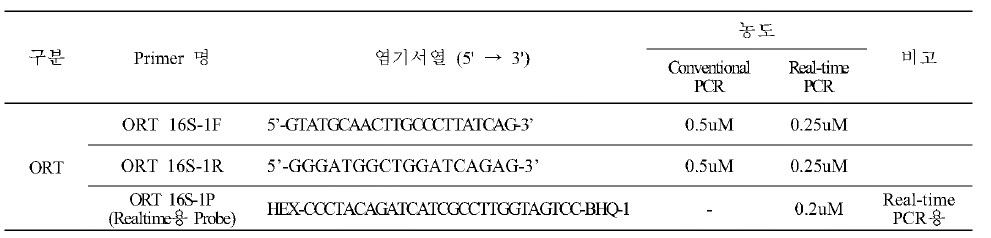 ORT 동정용 특이 프라이머 염기서열