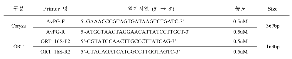 전염성코라이자，ORT감염증 항원 동시 감별용 특이 프라이머 염기서열