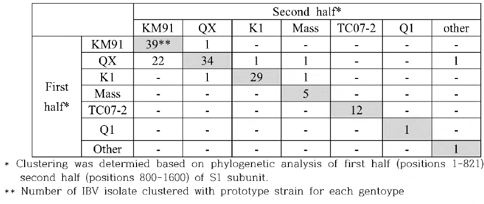 Recombination pattern in Spike gene of Korean IBVs between different genotypes