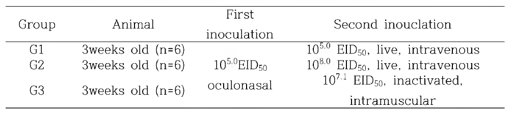 Comparison of antiserum preparation method for IBV