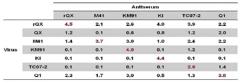 Neutralization index of genotype representative IBVs and related antiserum