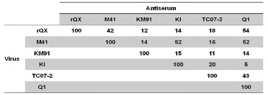 R value calculated by NI of Korean genotype representative IBVs