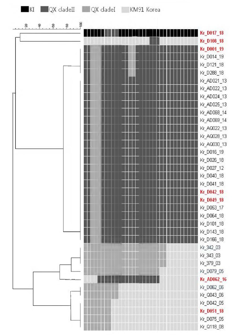 Recombination pattern in Spike gene of Korean QX/rQX viruses