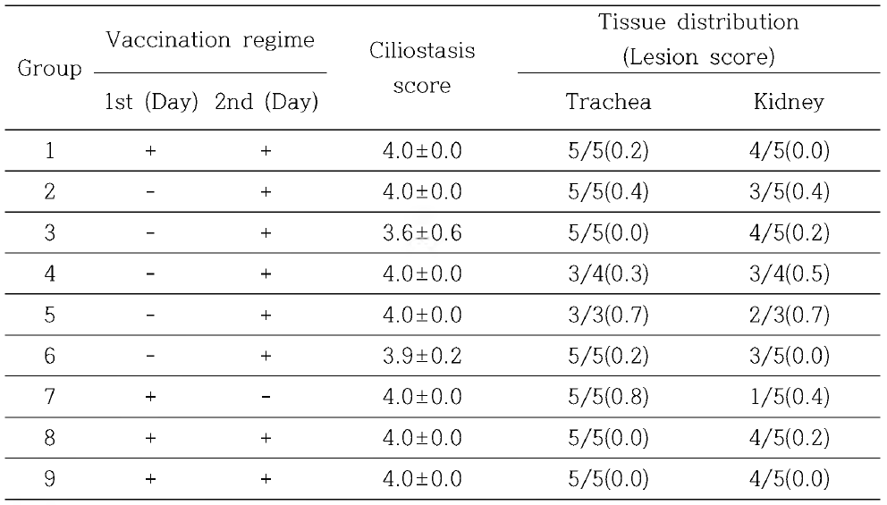 Ciliostasis, Tissue distribution and lesion score of the different groups following challenge with the QX-like strain