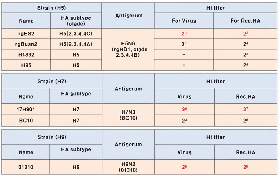 불활화 바이러스와 베큘로 항원의 표준 항혈청(H5/H7/H9)에 대한 HI 결과 비교