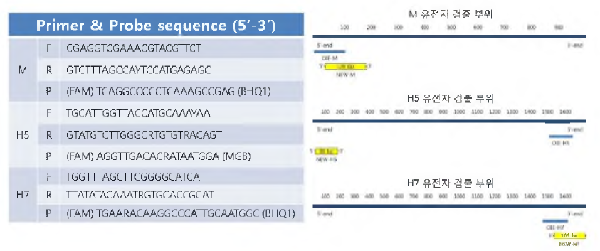 개선된 rRT-PCR용 AIV(M, H5, H7) 검출 프라이머 및 프로브 정보