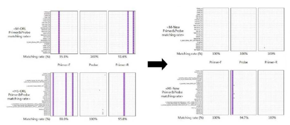 최근 분리주 유전자(M, H5) 에 대한 ORL/NEW primer&probe 매칭율