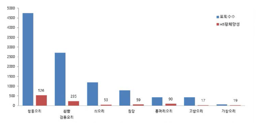 H5형 항체 양성 검출 주요 축종별 결과 (2012-2019.10.)