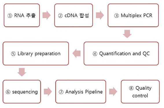 NGS 단계별 모식도