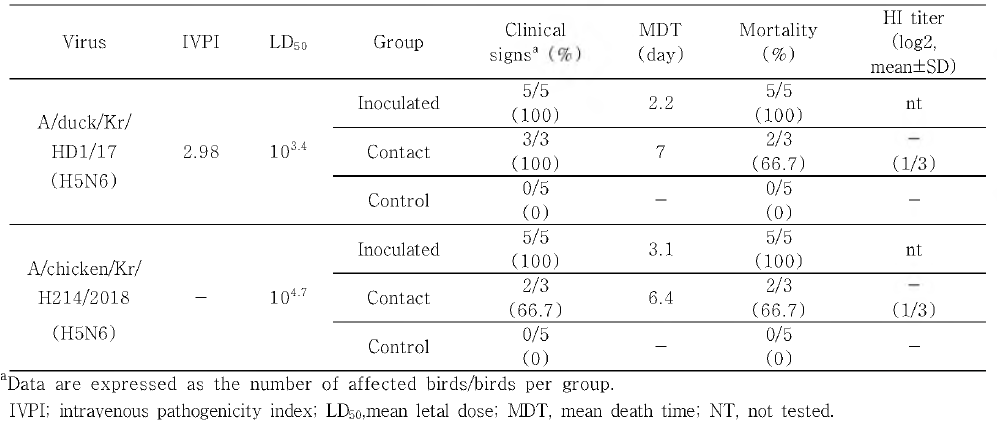 국내 17/18년 발생 HPAI의 SPF닭에서의 병원성 및 전파력 측정
