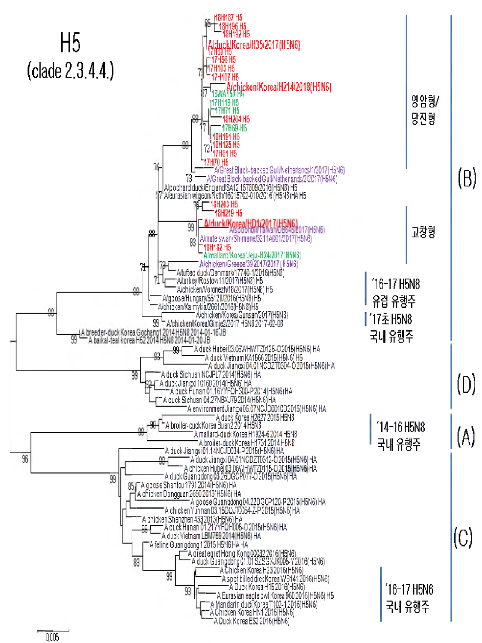 국내 17/18년 동절기 발생 HPAI의 clade 분석