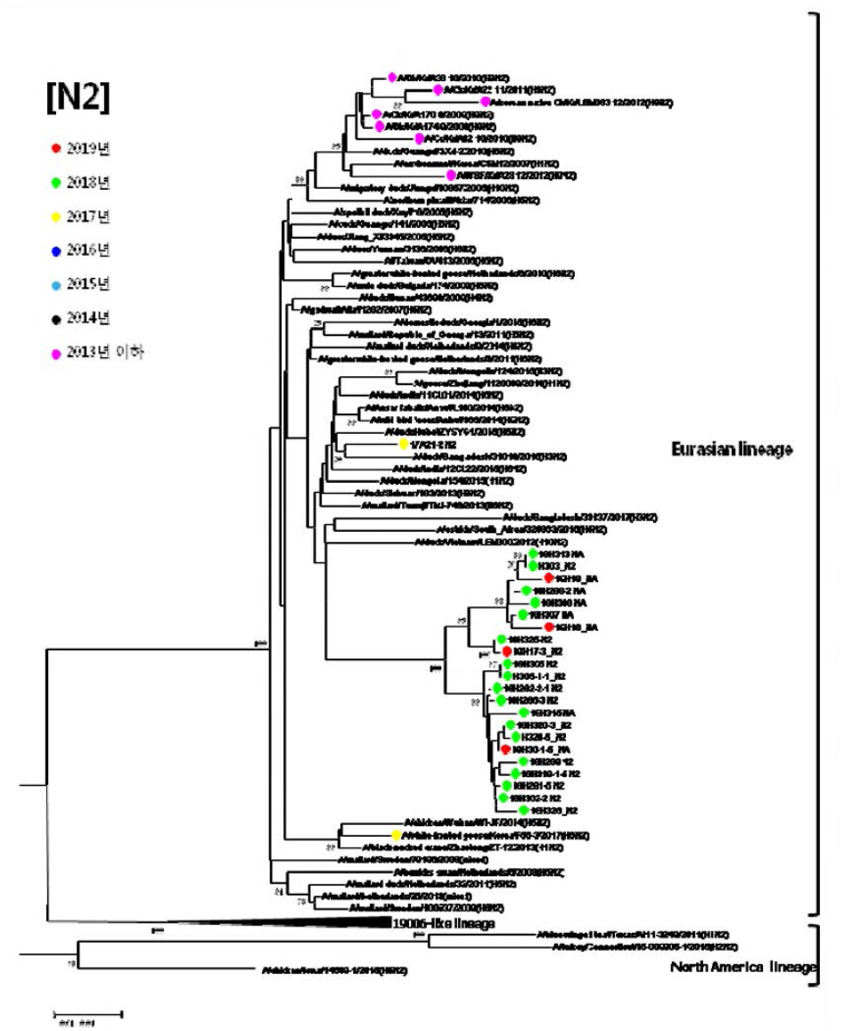 저병원성 H5형 AI바이러스의 N2 유전자 계통발생학적 분석