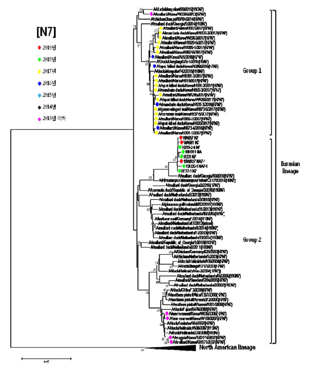 저병원성 H7형 AI바이러스의 N7 유전자 계통발생학적 분석