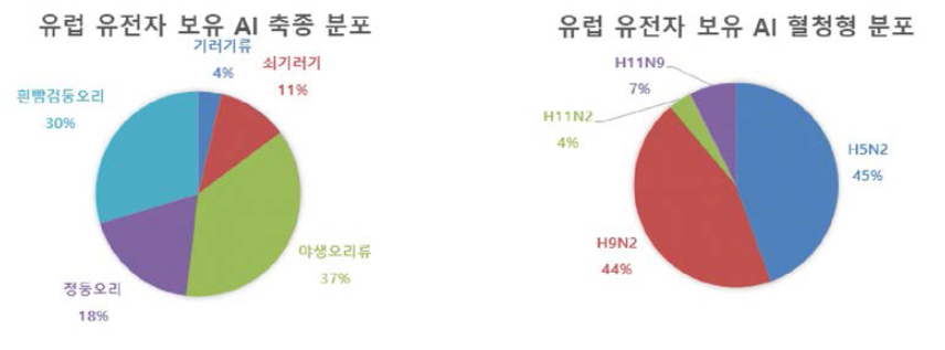 ‘18-19년 동절기 분리주 중 유럽 유전자 보유 AI 바이러스 분석 결과