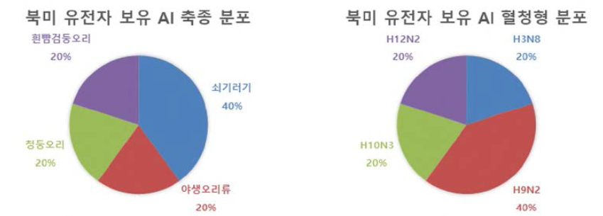 ‘18-19년 동절기 분리주 중 북미 유전자 보유 AI 바이러스 분석 결과