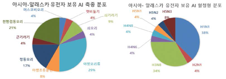 ‘18-19년 동절기 분리주 중 아시아-알래스카 유전자 보유 AI 바이러스 분석 결과