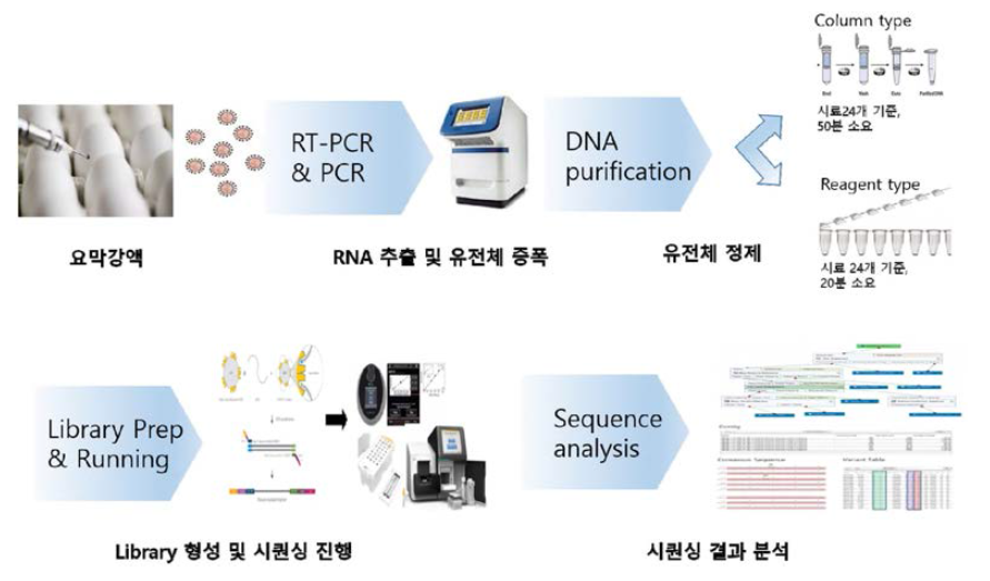 NGS 분석기법을 통한 조류인플루엔자 바이러스의 유전체 분석과정