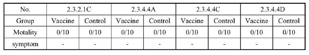 백신후보주 병원성 평가 (2주간 임상증상 및 폐사율)