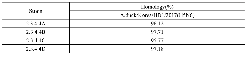 항원뱅크 구축 4종(clade 2.3.4.4)과 신규 발생주간 상동성 비교