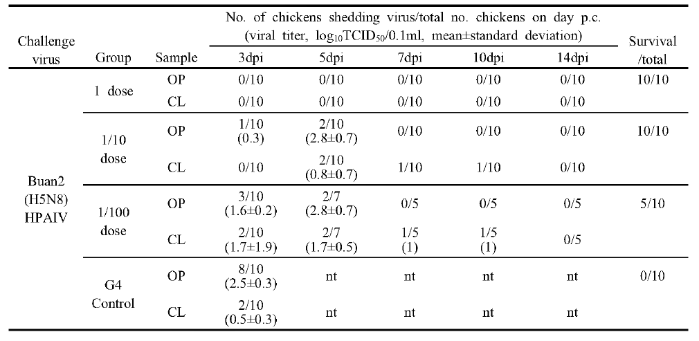 Clade 2.3.4.4A(rgAIV_Buan2) 백신 접종 후 공격시험 바이러스 배출