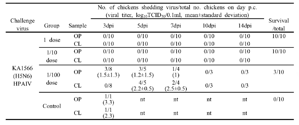 Clade 2.3.4.4D(rgAIV_ KA1566) 백신 접종 후 공격시험 바이러스 배출