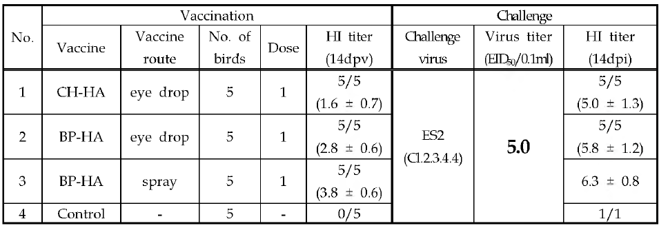 AI-백신 항체가 측정(공격접종주 역가: 5.0EID50/0.1ml)