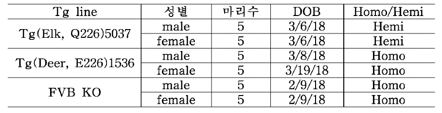 형질전환 마우스 도입현황