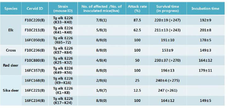 엘크(E226) 프리온 과발현 형질전환 마우스 접종현황(‘19.11.20현재)