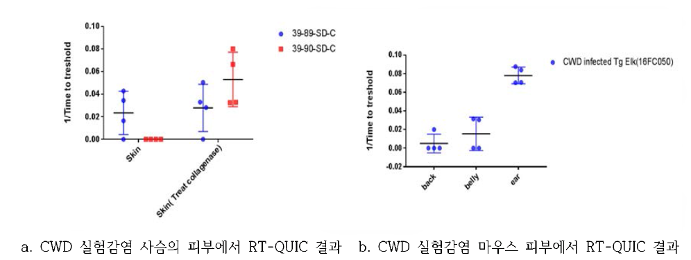 CWD 감염동물 피부에서 RT-QUIC 결과