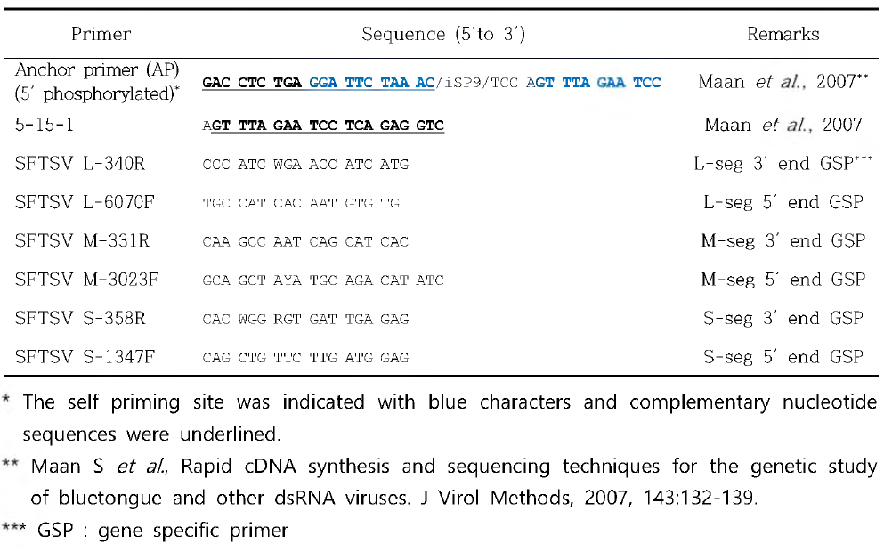 SFTSV 유전체 분절 3´, 5´ 말단 유전자염기서열 결정을 위한 프라이머 정보