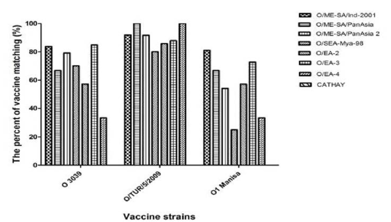 구제역바이러스 주요 백신주의 발생주와의 매칭비울(O 혈청형) * 우리나라 사용 O 형 백신주: O1 Manisa，O 3039，O1 Campos，O Primorsky