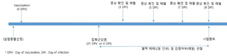 2018년 A형 국내 발생주(김포주) 대상 공격접종 시험 계획