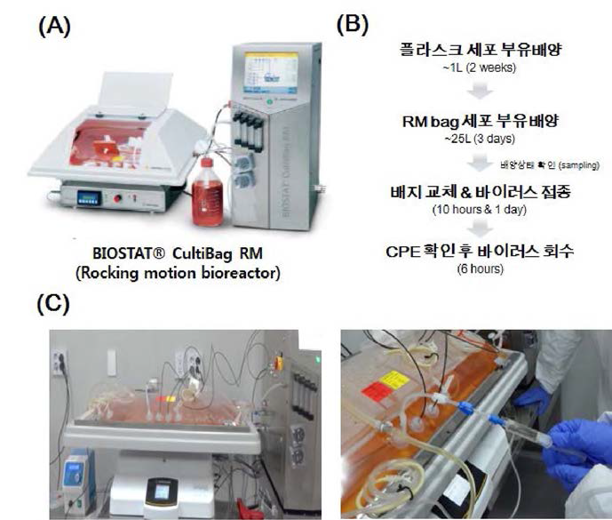 바이오리액터를 이용한 구제역 O형 보은주 바이러스 상층액 제조 (A) 바이오리액터 장비구성 (B) 항원제조 과정 모식도 (C) 바이오리액터 장비구동