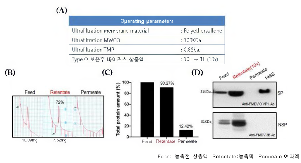 Pilot Plant scale 한외여과장비를 이용한 구제역 바이러스 감염 상층액 농축 (A) Pilot plant scale 한외여과 농축 조건(Lab scale 확립) (B) 146S 항원 회수율 (C) 총단백질 힘량 (D) 구조단백질, 비구조단백질 웨스턴블로팅