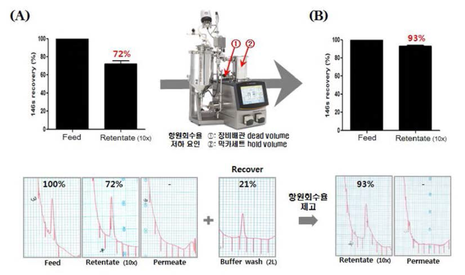 Pilot scale 한외여과장비의 구제역 백신항원 농축 회수율 제고 (A)Lab scale 조건 적용시구제역 백신항원 회수율 (B) 항원 회수율 제고를 위한 조건 획립 후 구제역 백신항원 회수율