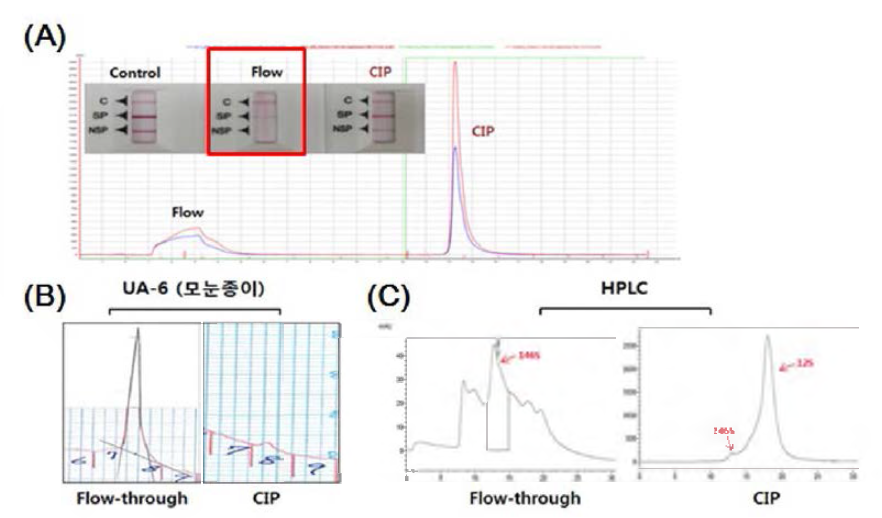 크기배제 컬럼을 이용한 구제역바이러스 상층액 정제 (A) 컬럼 분획별 구제역 항원 간이키트 검사 (B) 146S 항원 정량 (C) HPLC 분석