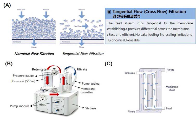 한외여과시스템 (A) 한외여과법의 종류 (B) Lab scale TFF 장비의 구성 (C) 한외여과 멤브레인 카세트에서 유체의 흐름