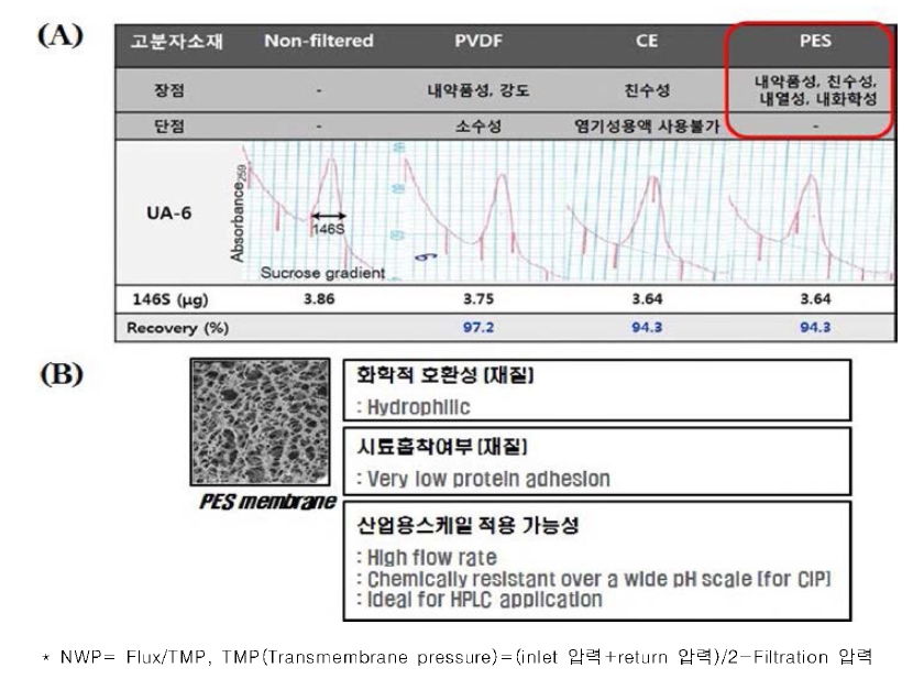 한외여과 멤브레인 재질 선정 (A) 멤브레인 소재에 따른 146S 항원 함량 비교 (B) PES 소재 멤브레인의 특성