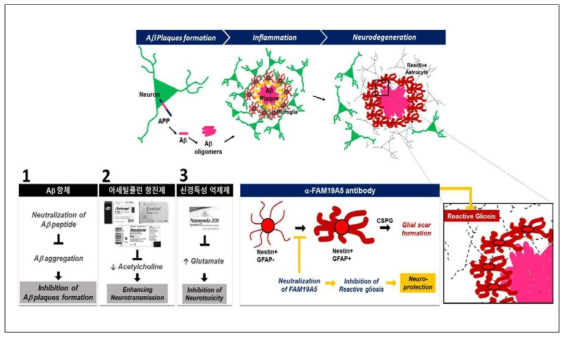 알츠하이머 질환에서 타 기전 MOA 경쟁물질 대비 차별점