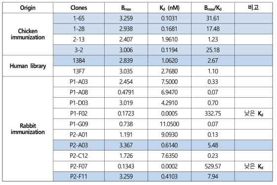 각 항체 클론의 FAM19A5 항원에 대한 Bmax와 Kd값