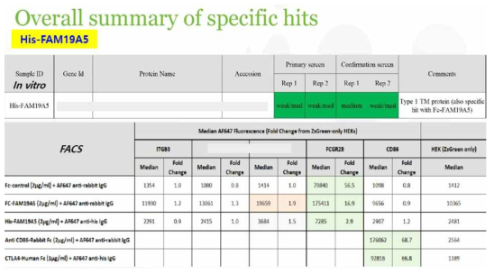His-tagged FAM19A5 리간드에 대한 수용체 후보군 동정 결과