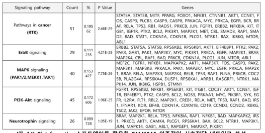 Bioinformatics 소프트웨어를 활용한 FAM19A5 의존적인 신호전달 네트워크 분석